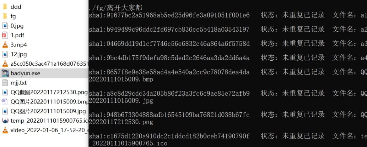 文件一键批量去重 自动递归删除 生成文件结构-村少博客