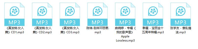 图片[6]-车载音乐合集上百G 持续更新中-村少博客