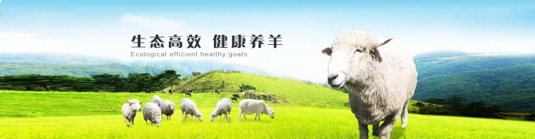 图片[362]-某宝花钱买的PSD源码33G-村少博客