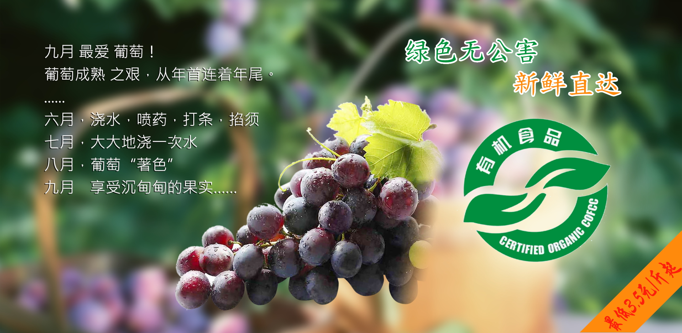 图片[1007]-某宝花钱买的PSD源码33G-村少博客