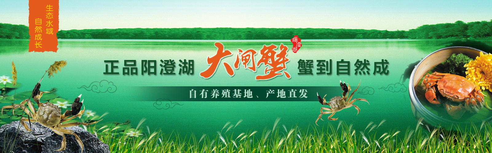 图片[1037]-某宝花钱买的PSD源码33G-村少博客