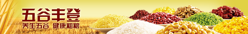 图片[1012]-某宝花钱买的PSD源码33G-村少博客