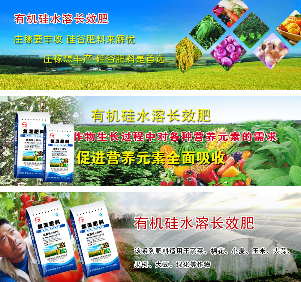 图片[1295]-某宝花钱买的PSD源码33G-村少博客