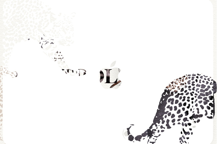 图片[275]-某宝花钱买的PSD源码33G-村少博客