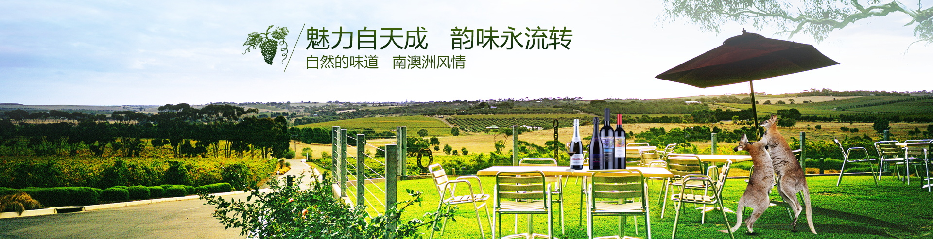 图片[802]-某宝花钱买的PSD源码33G-村少博客