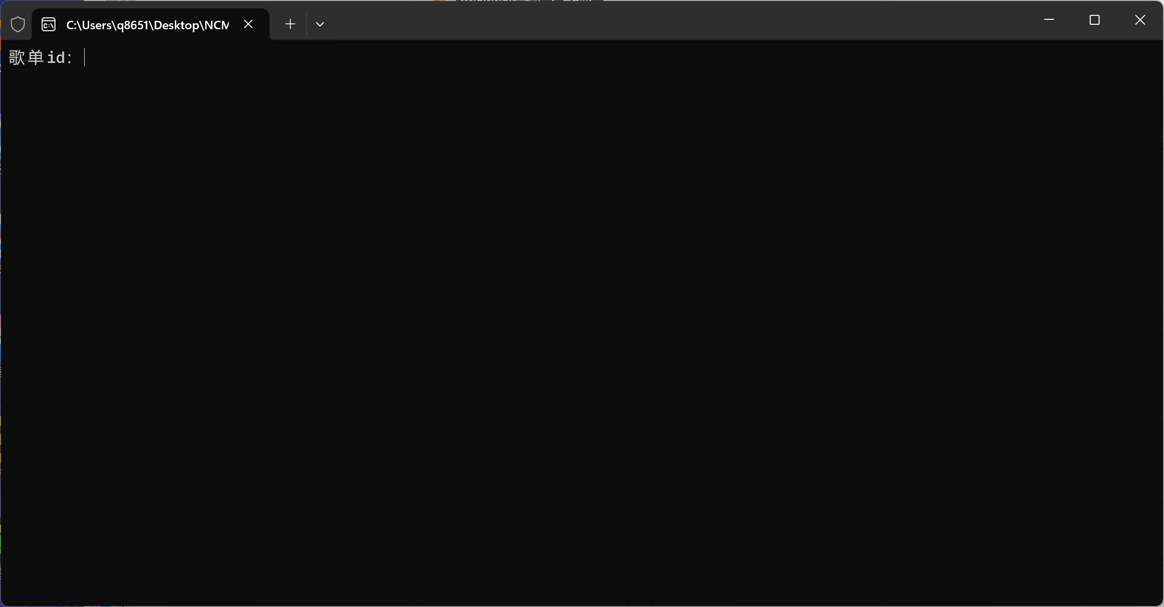 NCM Downloader 强大的网易云下载工具-村少博客