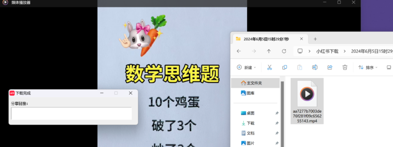 小红书无水印下载-村少博客