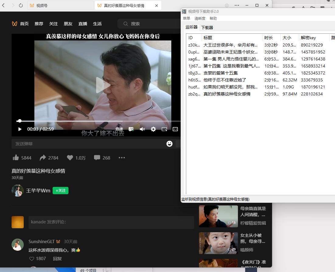 微信视频号下载工具 WechatVideoSniffer-村少博客